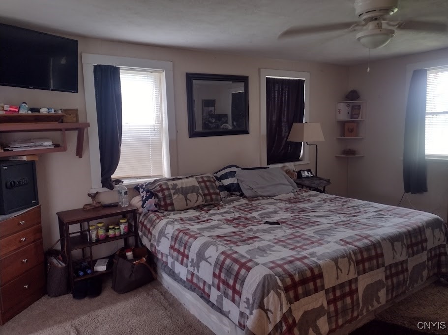 183 Gulf Hill Road, Dryden, New York image 14