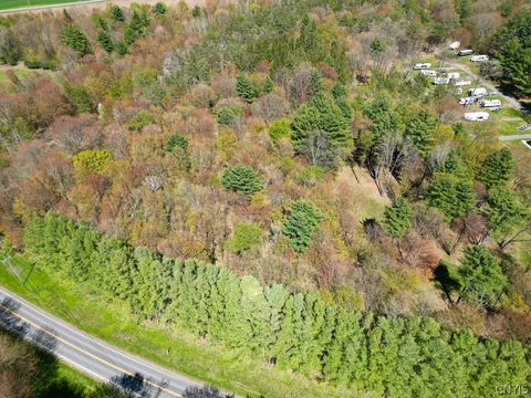 Vacant Land For Sale - Cr-48<br/> Oswego County, Albion, NY 13302