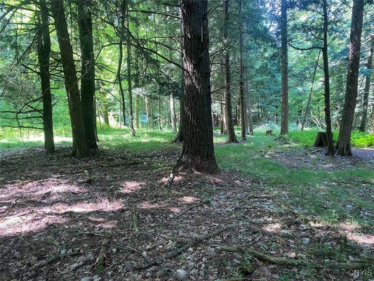 BELMONT RD, BELMONT, NY 14813 - Image fcecc3701cfd67ffda1fcf9a6bd86083/2886732321
