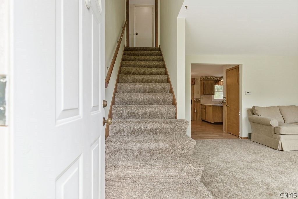 3772 Judy Drive