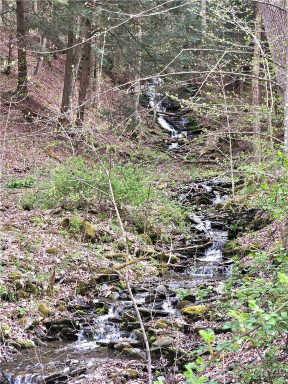 4018 W Cheningo Road, Truxton, New York image 4