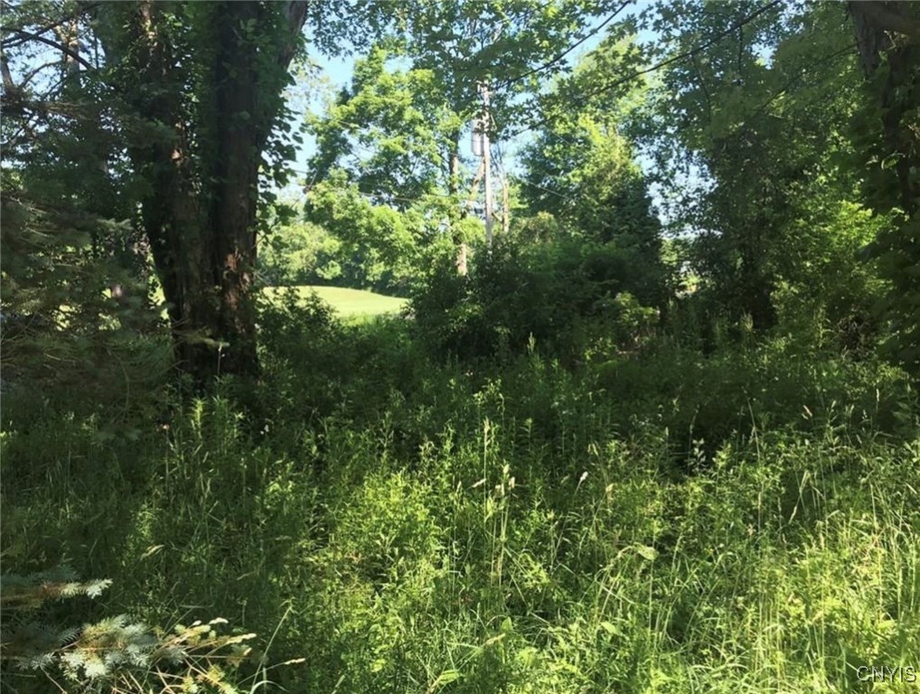 1327 Old State Road, Sterling, New York image 3