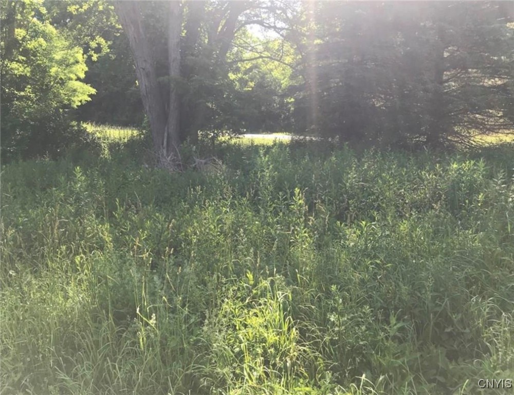 1327 Old State Road, Sterling, New York image 6