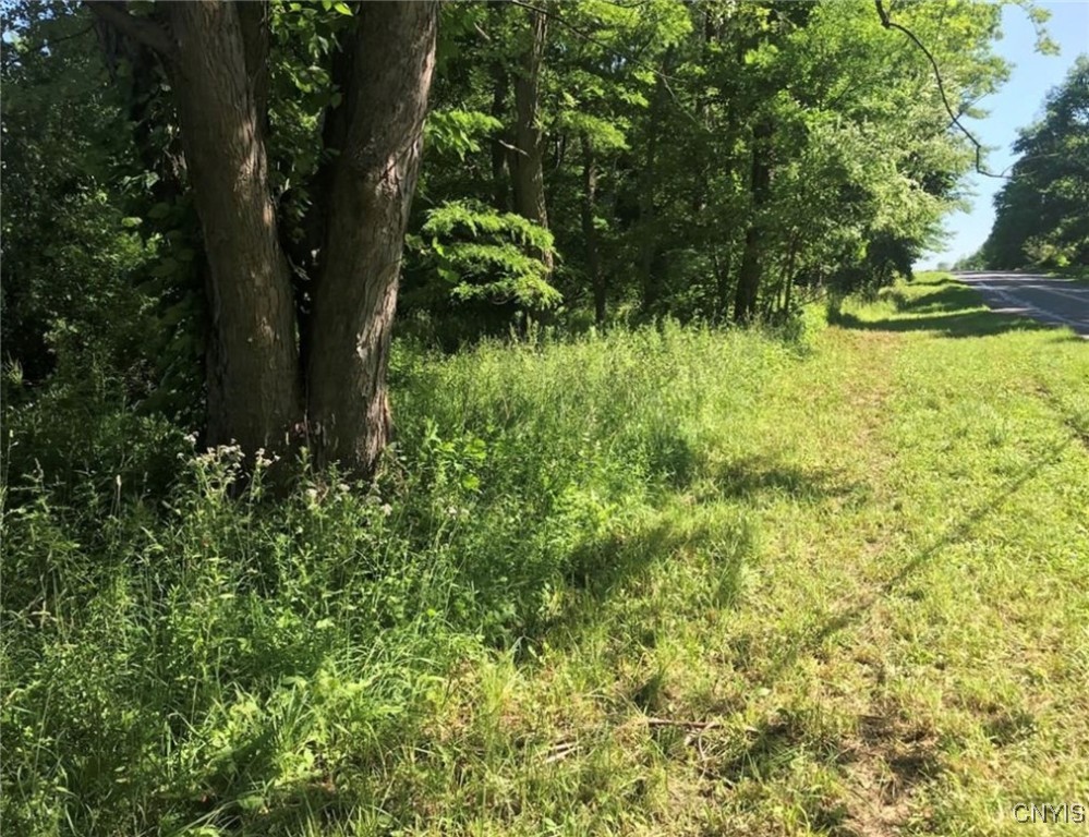 1327 Old State Road, Sterling, New York image 2