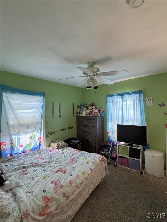 217 Sedgwick Street, Syracuse, New York image 14