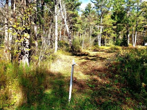 0 Midline Road Freeville NY 13068