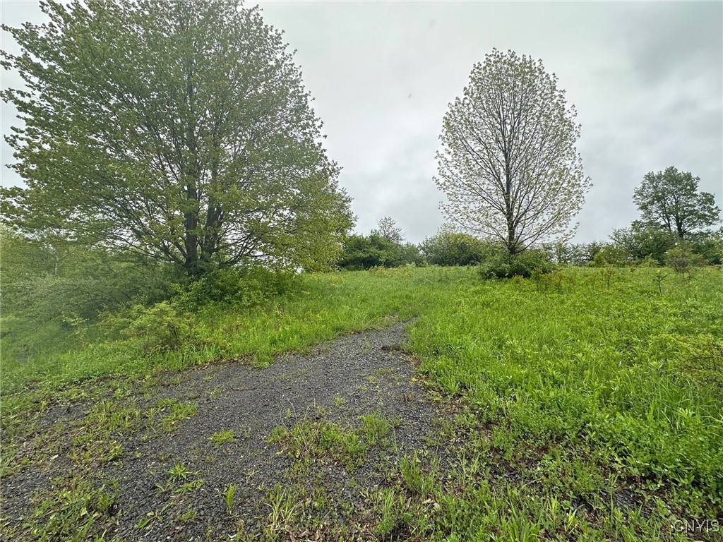263 Cogar Drive, Schuyler, New York image 1