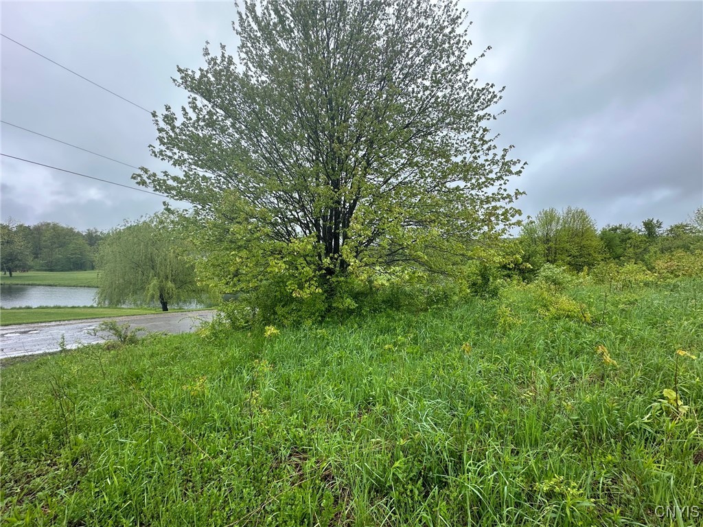 263 Cogar Drive, Schuyler, New York image 2