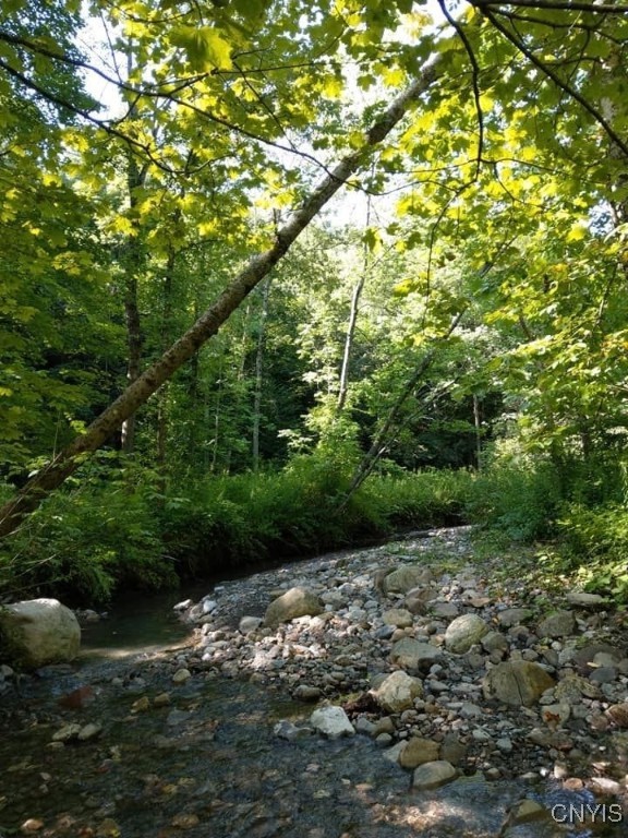 263 Cogar Drive, Schuyler, New York image 8