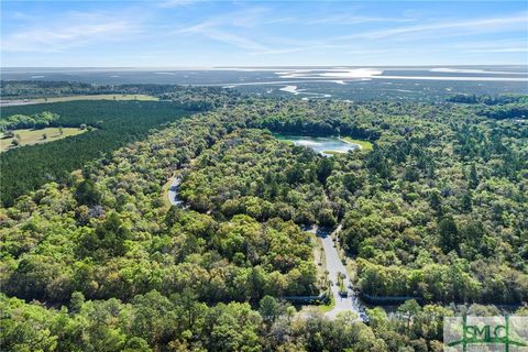 0 Fig Tree Road Midway GA 31320