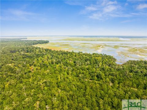 0 Conservation Way Lot #10 Midway GA 31320