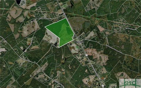 0 Hwy 17 Highway Guyton GA 31312