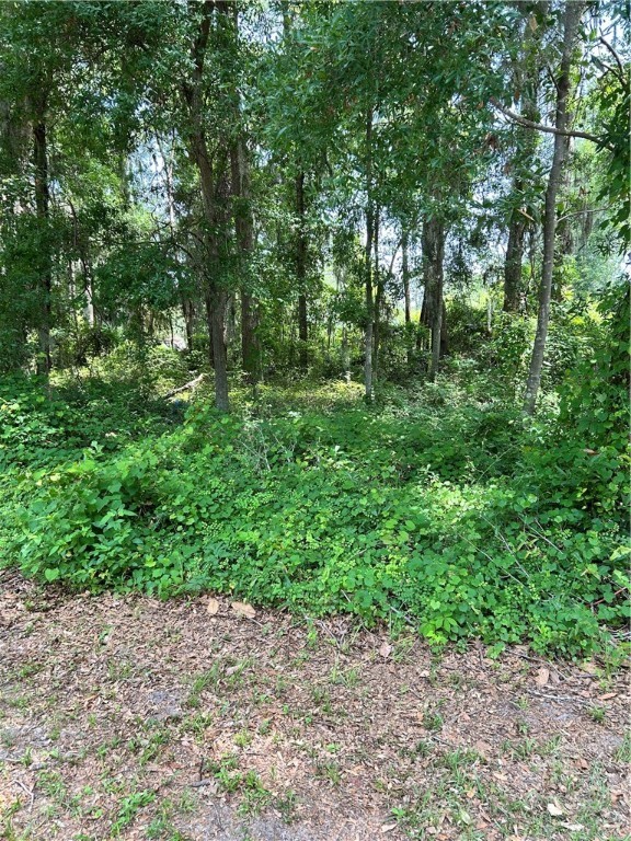 13305 White Bluff Road