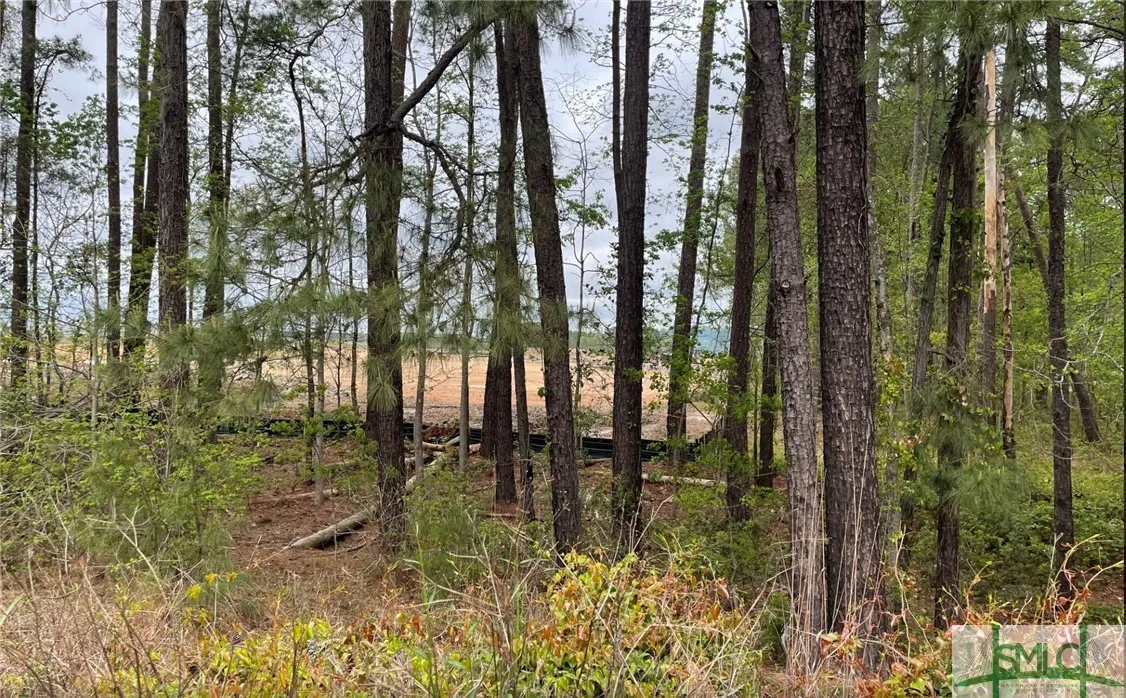 Savannah, Georgia 31405, United States, ,2 BathroomsBathrooms,Commercial,Active,54231