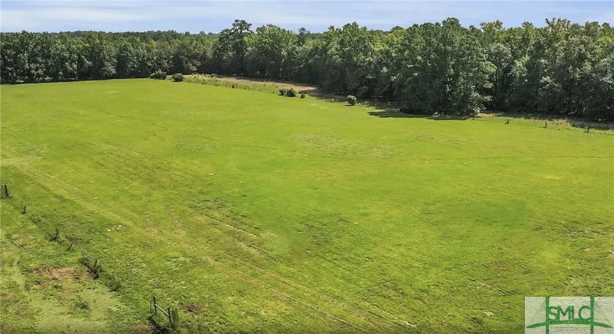 Ellabell, Georgia 31308, United States, ,Land,Active,60730