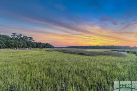 411 Tivoli Marsh Road, Richmond Hill, GA 31324 - #: 329676