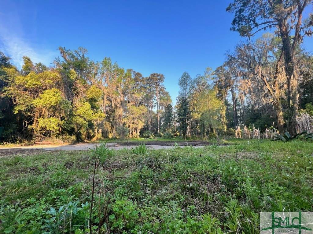 View Savannah, GA 31404 property