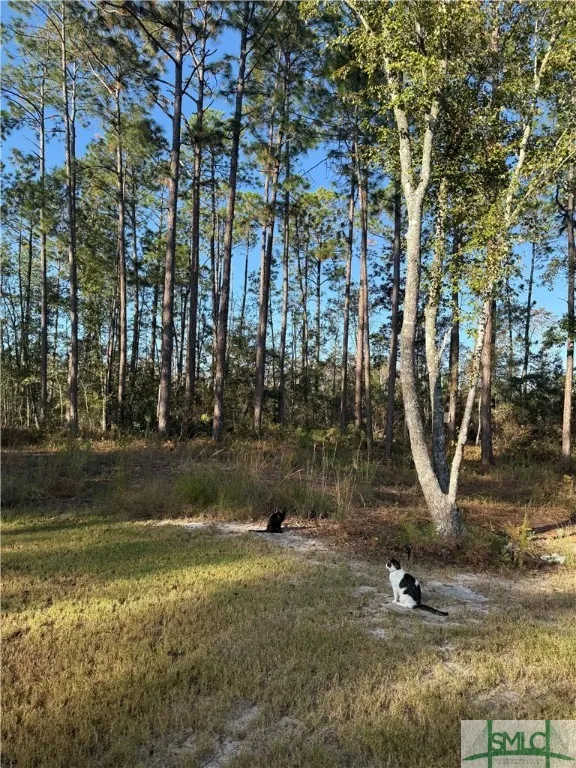 Pembroke, Georgia 31321, United States, 5 Bedrooms Bedrooms, ,5 BathroomsBathrooms,Commercial,Active,33978