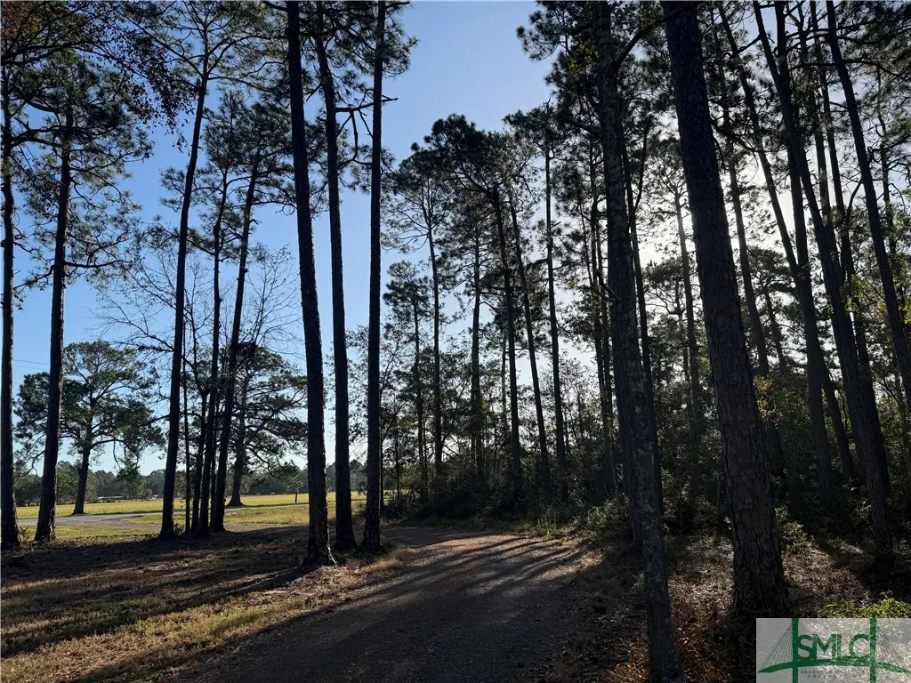 Pembroke, Georgia 31321, United States, 5 Bedrooms Bedrooms, ,5 BathroomsBathrooms,Commercial,Active,33978