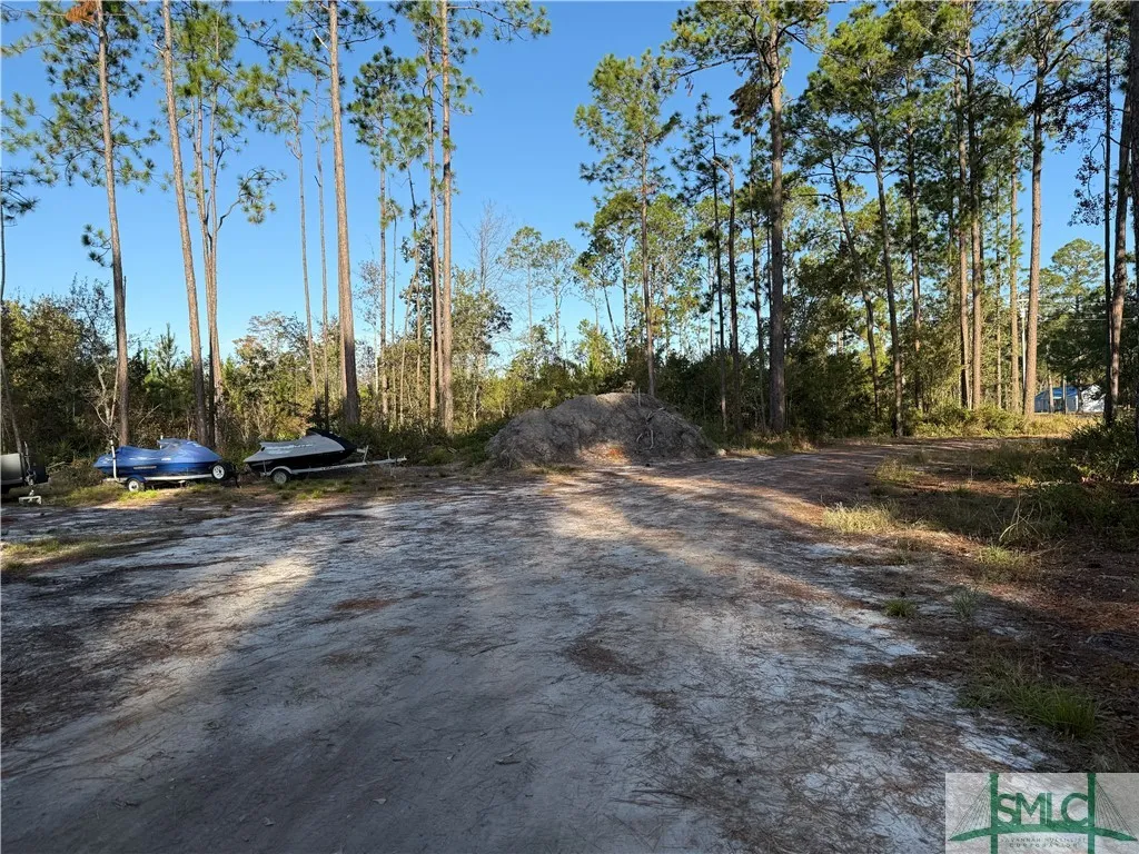 Pembroke, Georgia 31321, United States, 5 Bedrooms Bedrooms, ,5 BathroomsBathrooms,Commercial,Active,33978