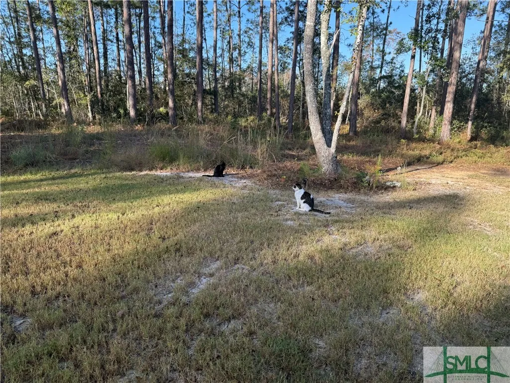 Pembroke, Georgia 31321, United States, 5 Bedrooms Bedrooms, ,5 BathroomsBathrooms,Commercial,Active,33978