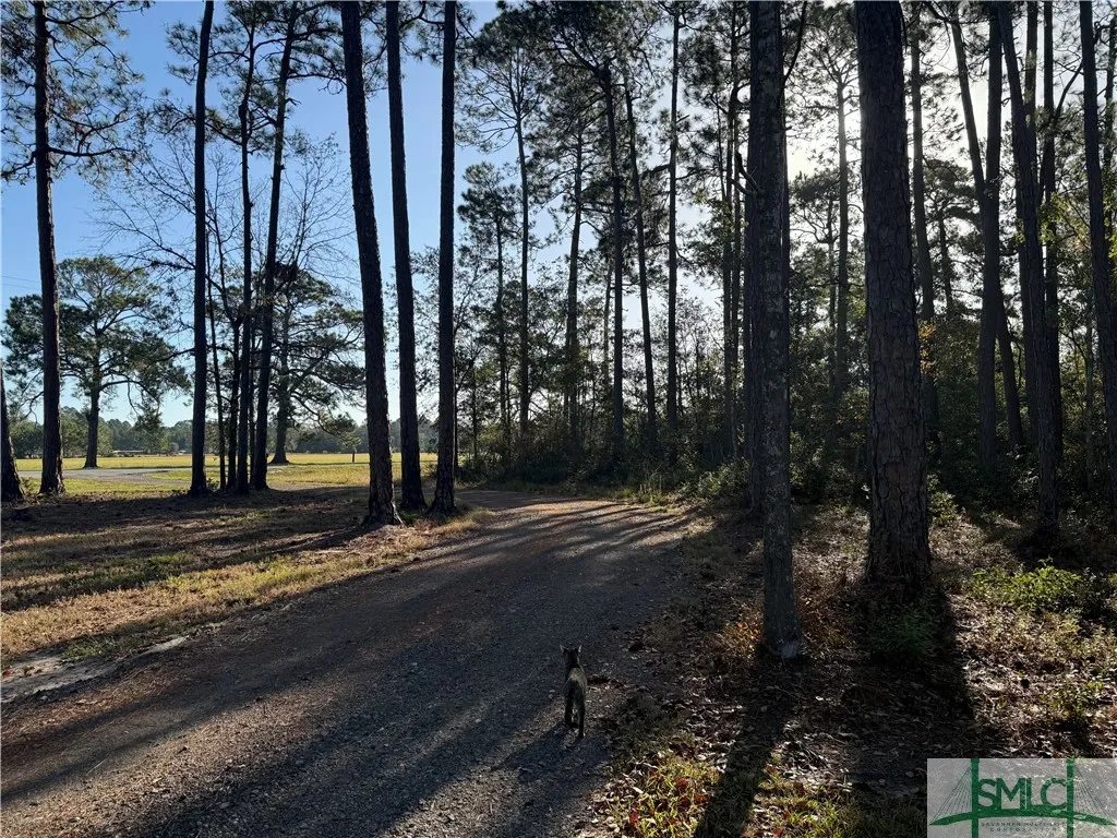 Pembroke, Georgia 31321, United States, 5 Bedrooms Bedrooms, ,5 BathroomsBathrooms,Commercial,Active,33978