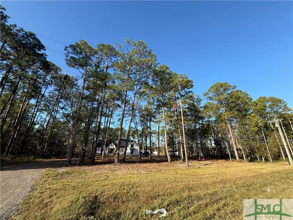 Pembroke, Georgia 31321, United States, 5 Bedrooms Bedrooms, ,5 BathroomsBathrooms,Commercial,Active,33978