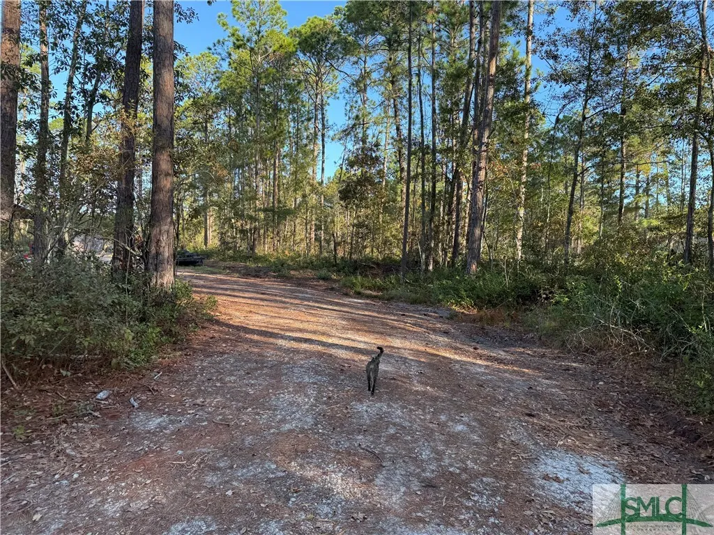 Pembroke, Georgia 31321, United States, 5 Bedrooms Bedrooms, ,5 BathroomsBathrooms,Commercial,Active,33978