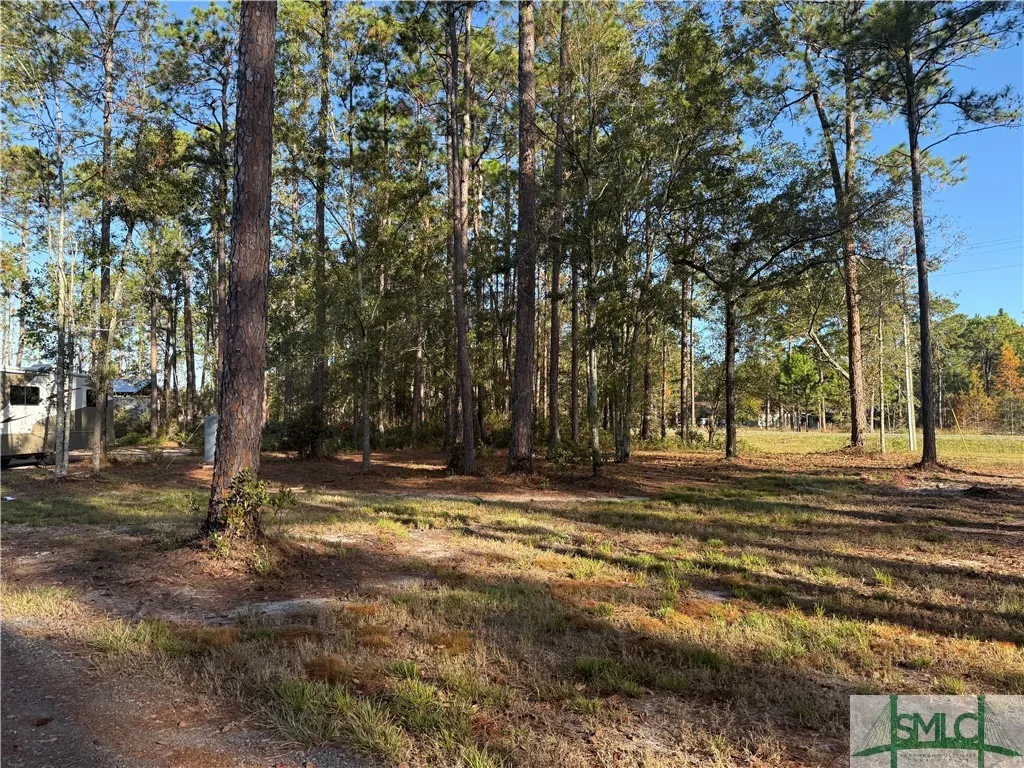 Pembroke, Georgia 31321, United States, 5 Bedrooms Bedrooms, ,5 BathroomsBathrooms,Commercial,Active,33978