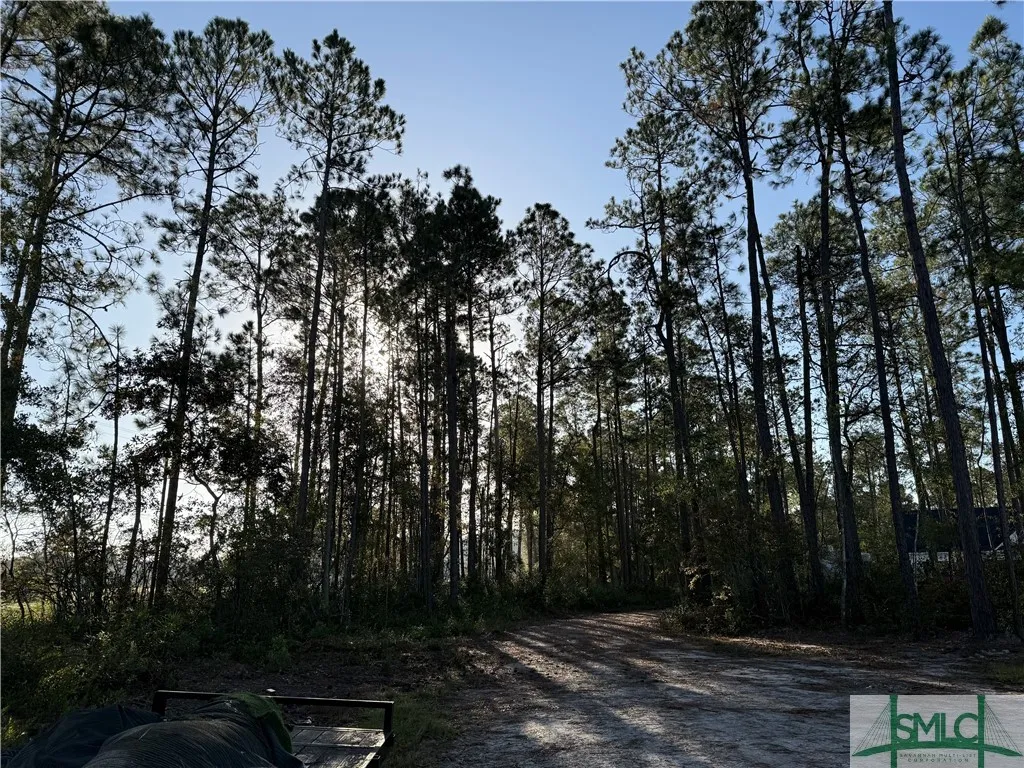 Pembroke, Georgia 31321, United States, 5 Bedrooms Bedrooms, ,5 BathroomsBathrooms,Commercial,Active,33978