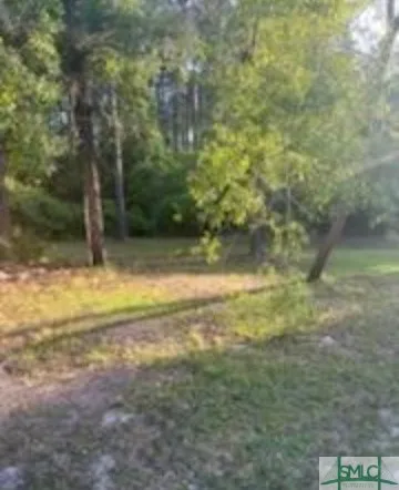 Ellabell, Georgia 31308, United States, 3 Bedrooms Bedrooms, ,2 BathroomsBathrooms,Commercial,Active,12310