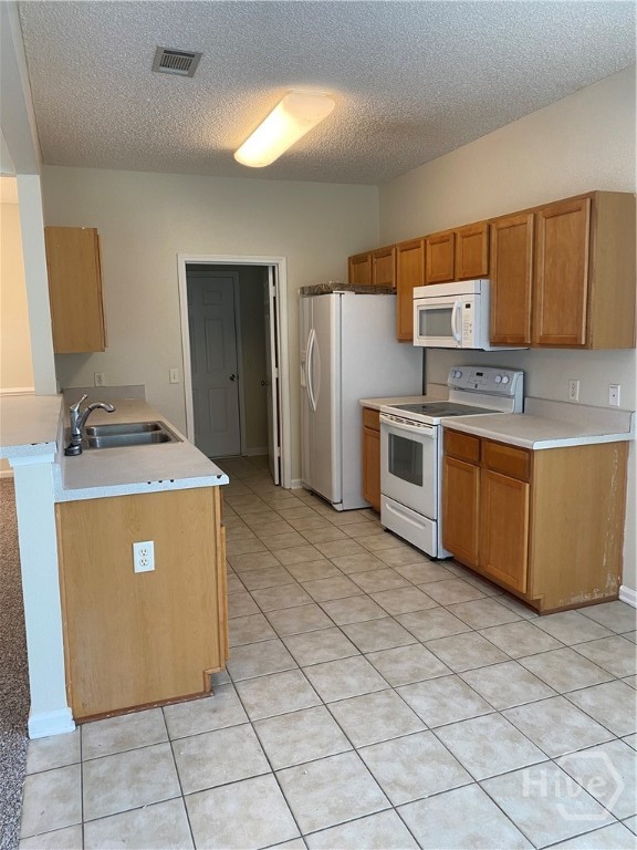 533 Amsonia Circle