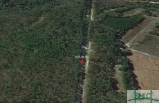 Ellabell, Georgia 31308, United States, ,Commercial,Active,74389