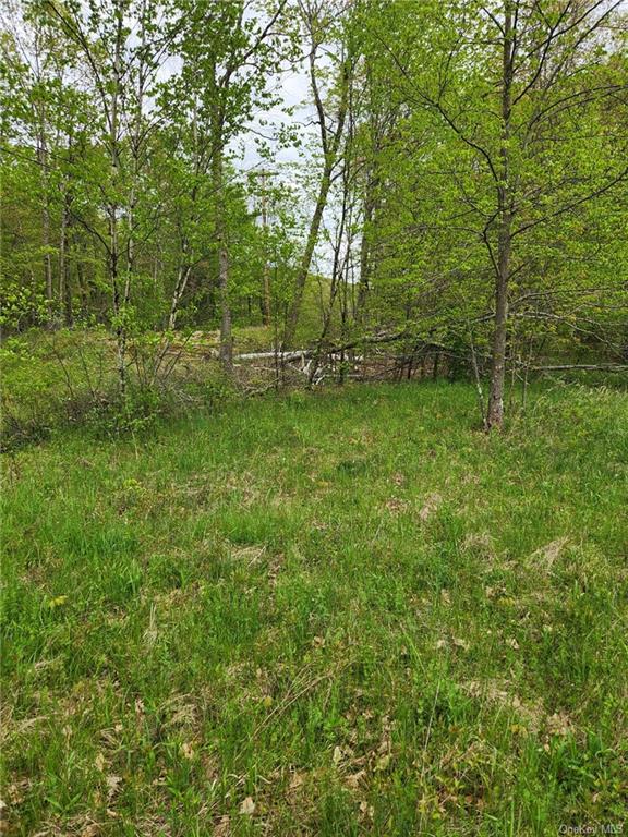 Cr-11 Lot 1, Ancram, New York image 6