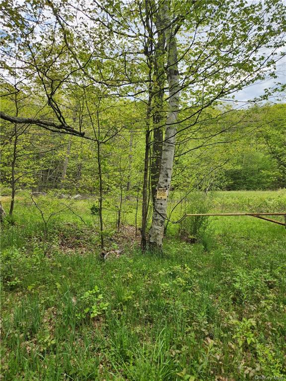 Cr-11 Lot 1, Ancram, New York image 2