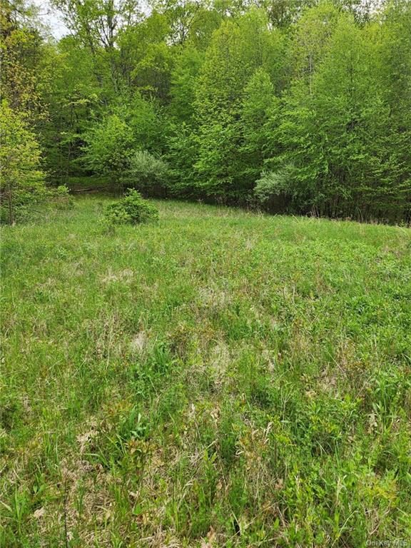 Cr-11 Lot 1, Ancram, New York image 7