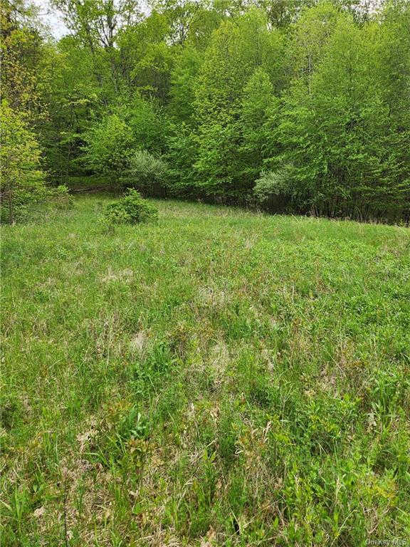 Cr-11 Lot 1, Ancram, New York image 1