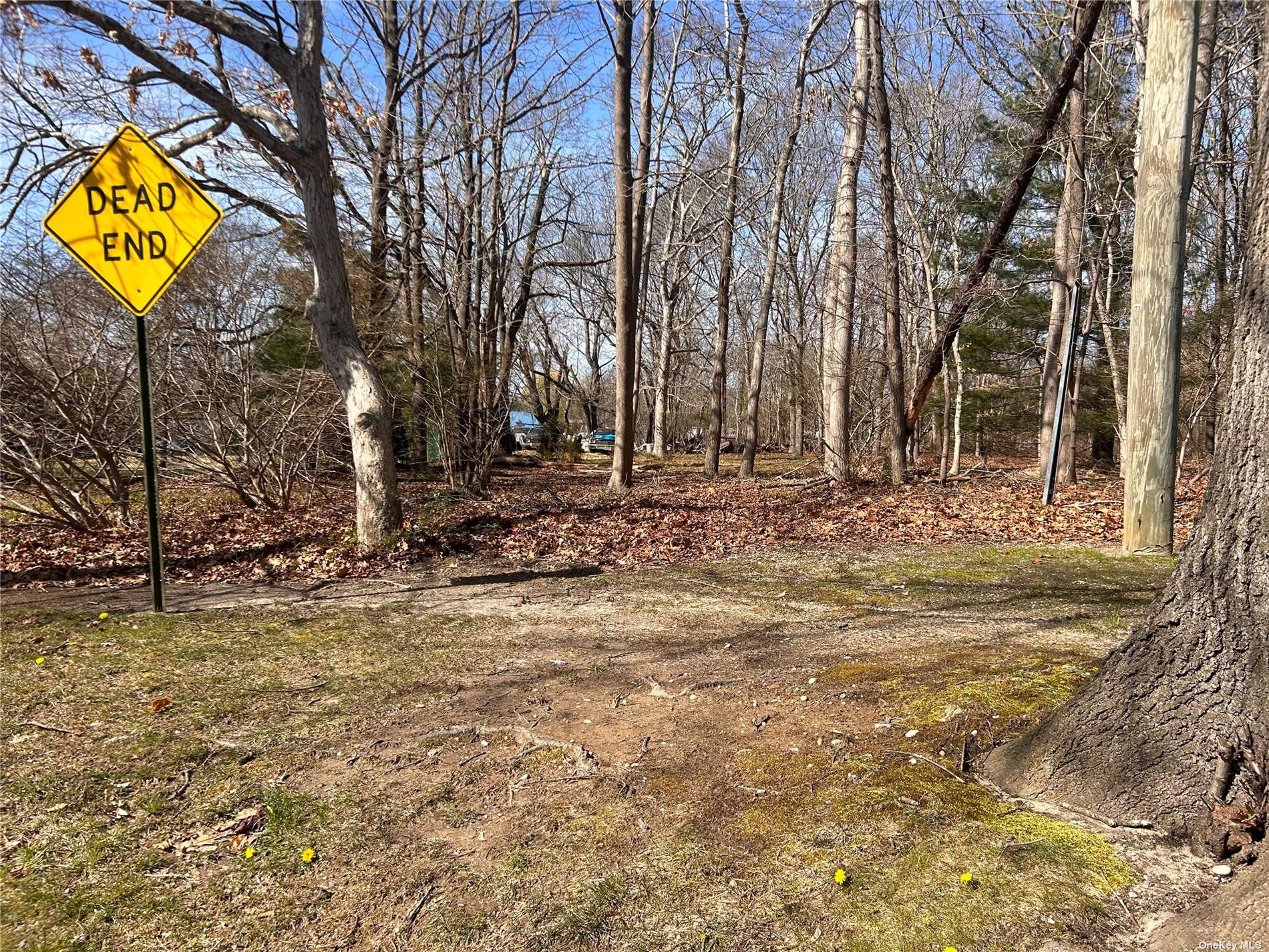 Lot: Stephano Road, East Patchogue, New York image 3