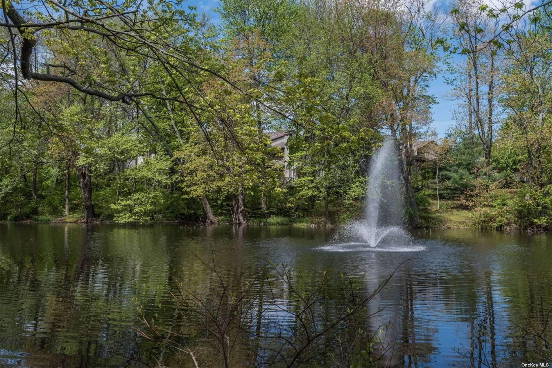 11 Pond View #11, Jericho, New York image 22