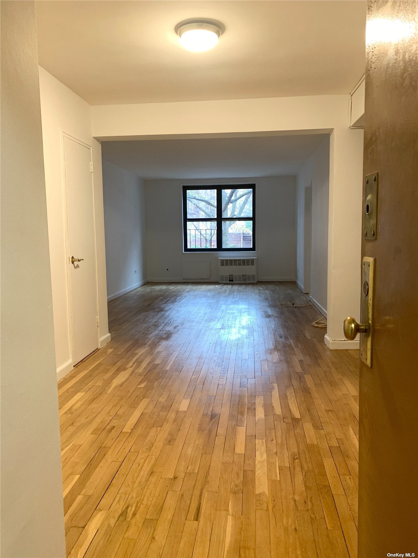 139-15 83rd Avenue #219, Briarwood, New York image 3