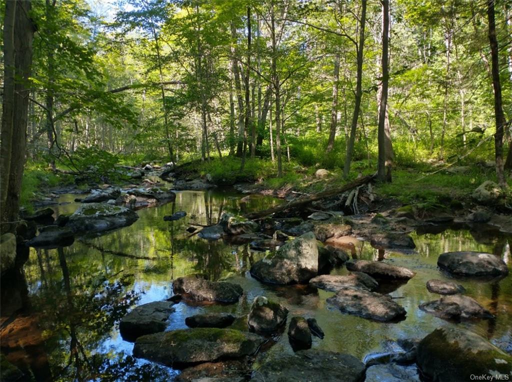 Bell Hollow Road, Putnam Valley, New York image 1