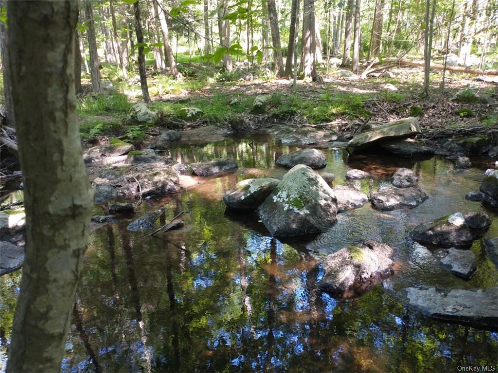 Bell Hollow Road, Putnam Valley, New York image 8