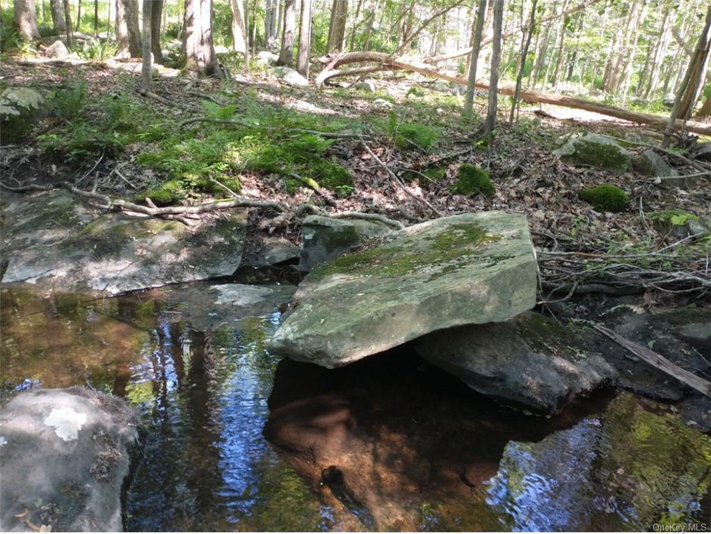 Bell Hollow Road, Putnam Valley, New York image 7