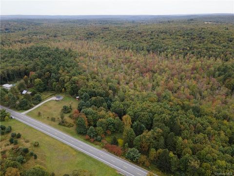 Vacant Land For Sale - Route 52<br/> Wawarsing, NY 12489