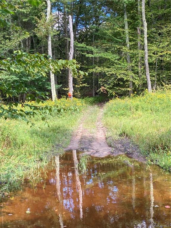 Fox Mountain, Livingston Manor, New York image 3