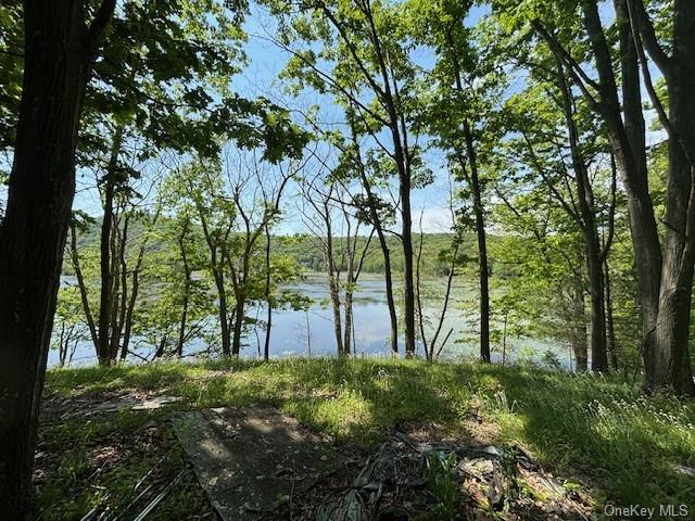 5 Lakeside Lane, Pine Plains, New York image 11