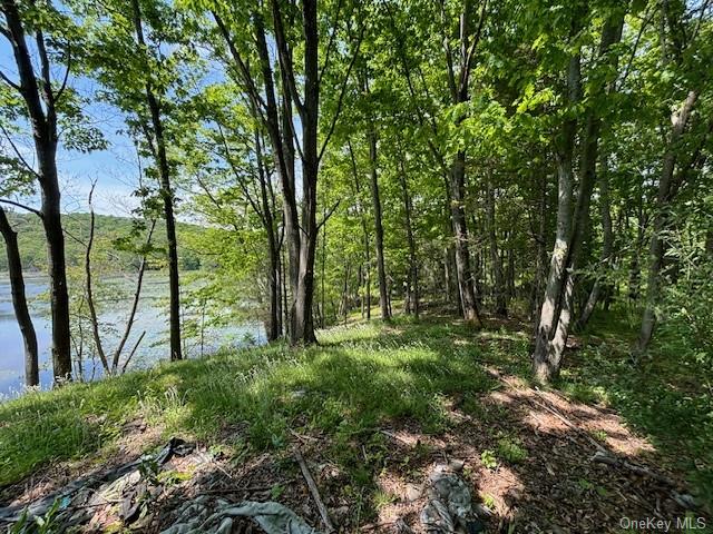 5 Lakeside Lane, Pine Plains, New York image 10