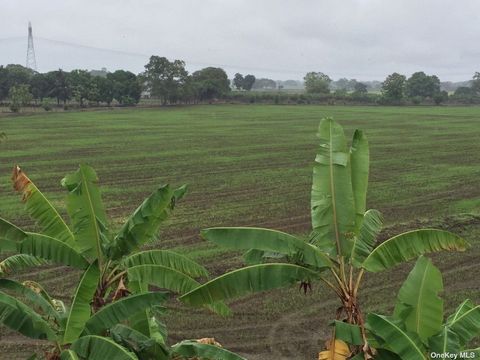 Unimproved Land in Other NY CARRETERA Babahoyo-Frebres.jpg