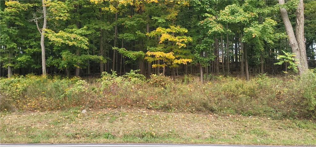 Lot 7 Bethlehem Road, New Windsor, New York image 1