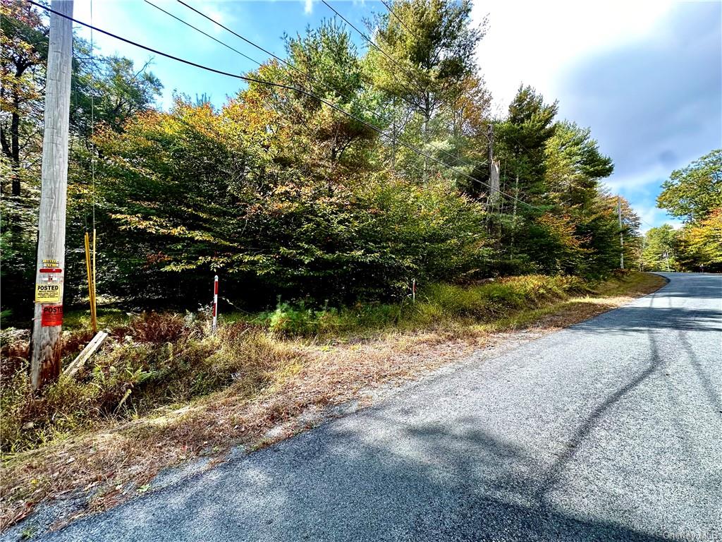 121 French Clearing Road, Forestburgh, New York image 7